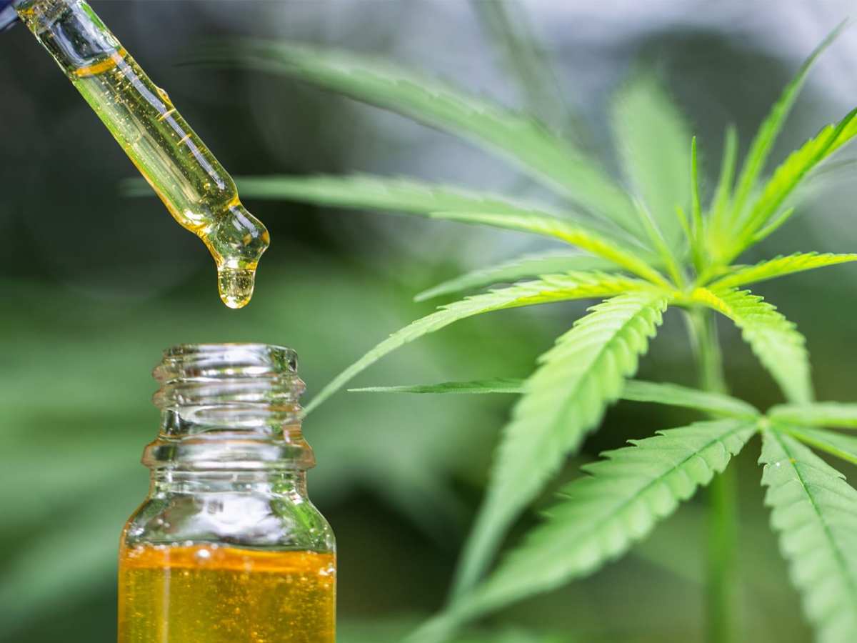 Facts That You Must Aware About the&nbsp;Cannabidiol